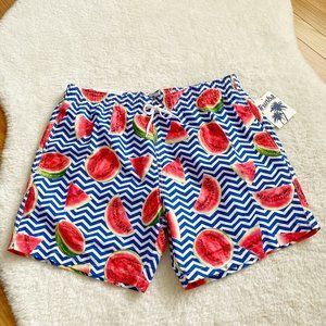 Trunks Surf & Swim Men's Swim Short, Chevron Watermelon, Blue/Red, Size XL